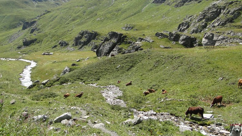 Entre Maurienne et Tatentaise - Le Col de l'Iseran 2770 m (73) 0010