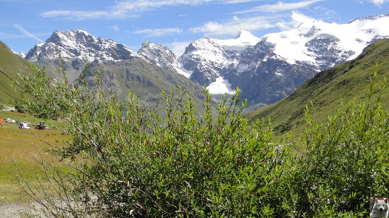 Entre Maurienne et Tatentaise - Le Col de l'Iseran 2770 m (73) 0015