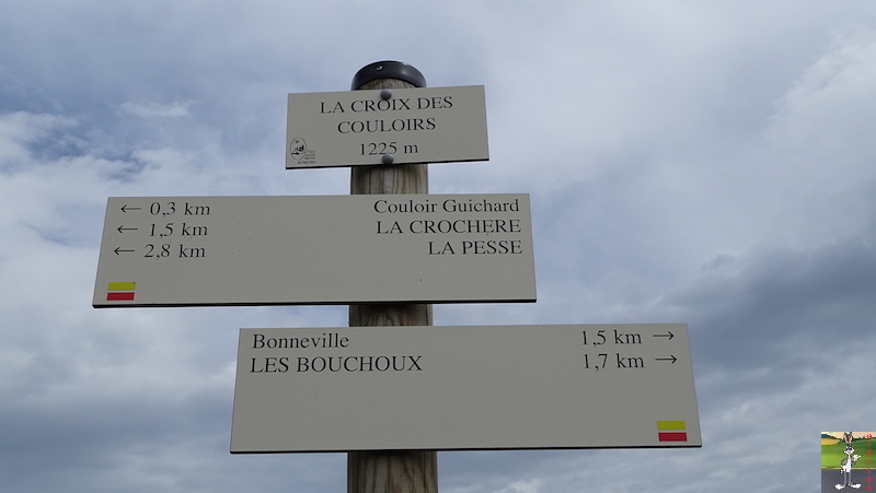 [39-01] : 2018-05-26 : La Croix des Couloirs et Sabots de Vénus - Haut-Jura 2018-05-26_croix_couloirs_24