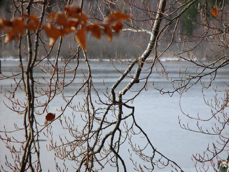 [39] : Le Lac de Bonlieu - Bonlieu 0004