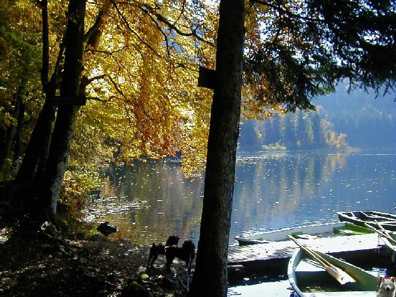 [39] : Le Lac de Bonlieu - Bonlieu 0009