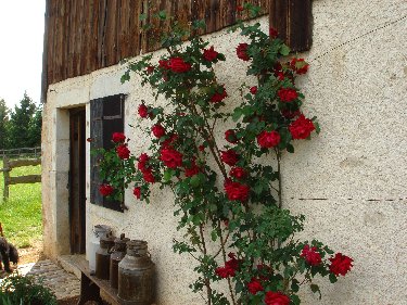 Musée de Plein Air des Maisons Comtoises - Nancray (25) 0075