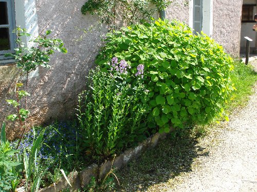 Musée de Plein Air des Maisons Comtoises - Nancray (25) 0103