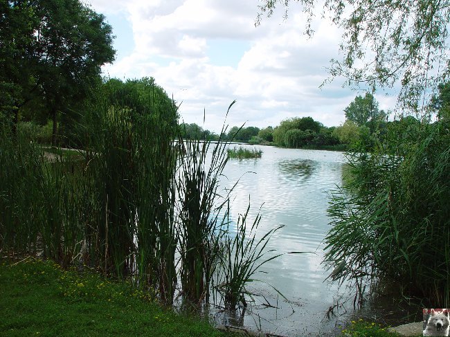 Le parc ornithologique des Dombes - Villars les Dombes (01) 0028