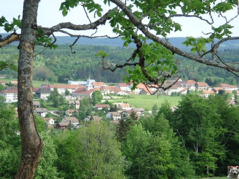 A la découverte de quelques paysages hauts-jurassiens 0034