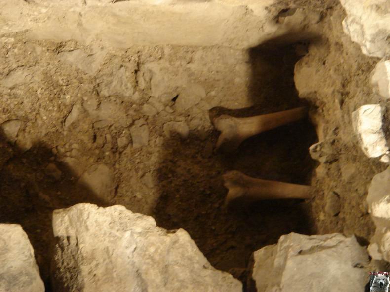 Le Musée de l'Abbaye - Donations Bardone-Genis - St-Claude 0027