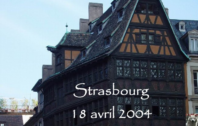 Quelques images de Strasbourg Logo