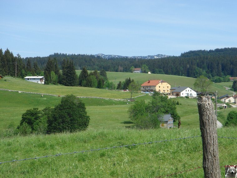 Les Tavaillons dans le Ht-Jura - Les Bouchoux - La Pesse (39 T0037