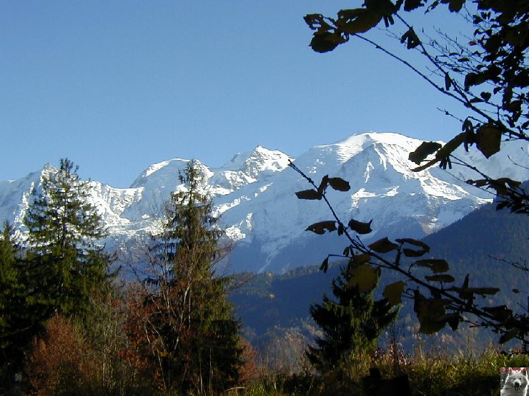 Pour la beauté des lieux et la richesse des images - Le toit des Alpes 0001