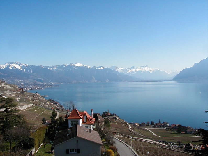 Le vignoble côté Léman (VD) 0028