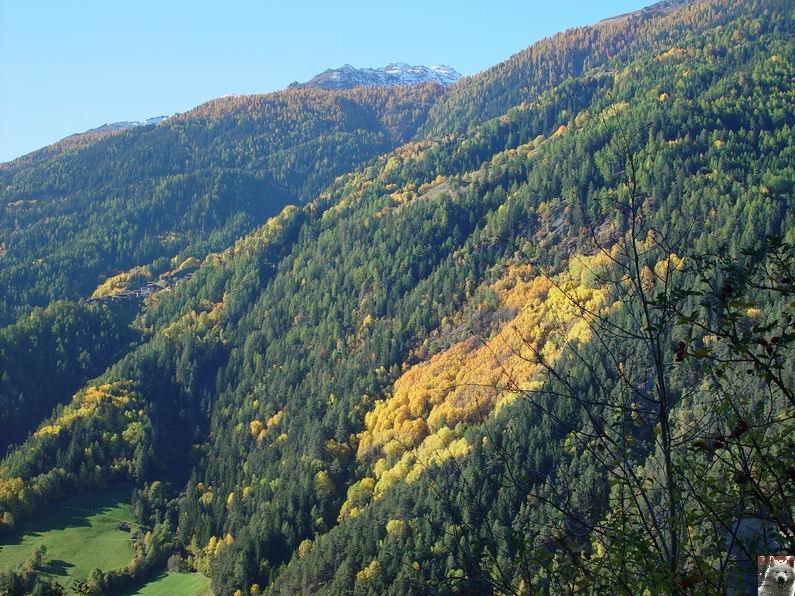   Le Val d'Annivier - Suisse - VS - 15 octobre 2005   0005