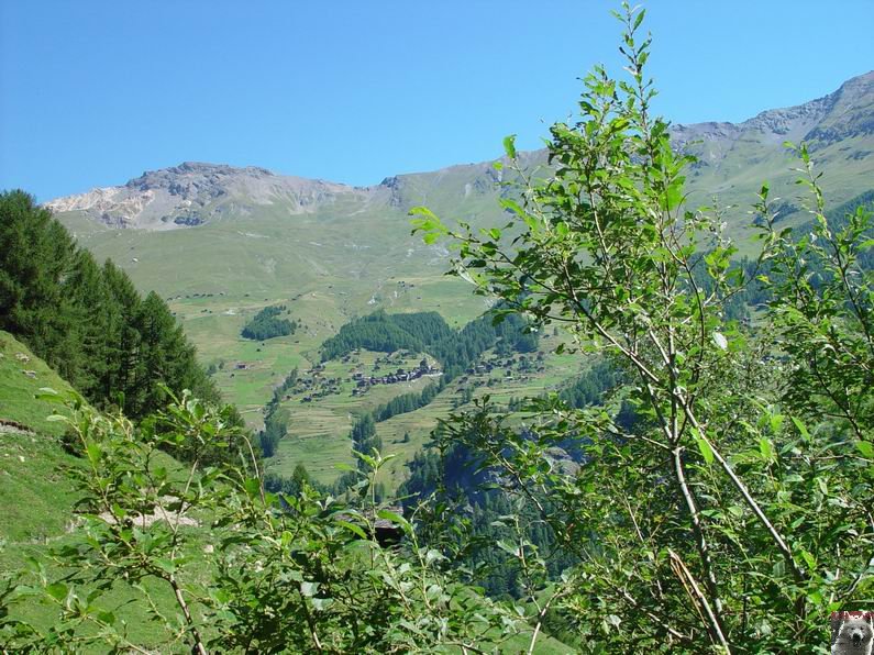 Le Val d'Hérens - Suisse - VS - 09 août 2005  0019
