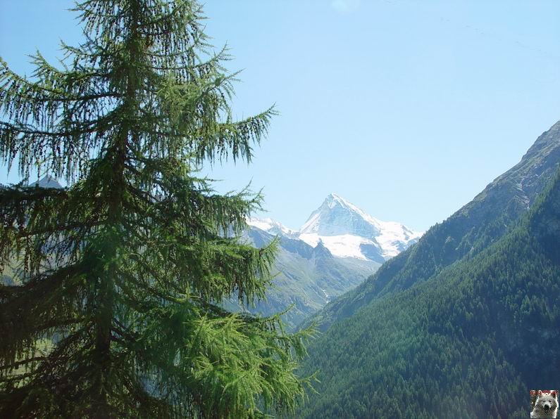 Le Val d'Hérens - Suisse - VS - 09 août 2005  0022