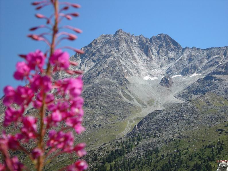 Le Val d'Hérens - Suisse - VS - 09 août 2005  0027