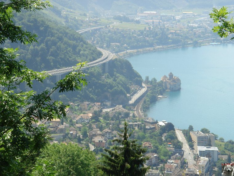 Les Rochers de Naye (VD) 0002j