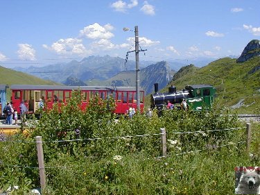 Les Rochers de Naye (VD) 0012