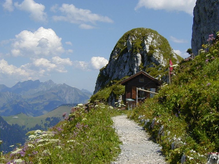 15 Août 2001 - Les Rochers de Nays - Vaud - Suisse 0022