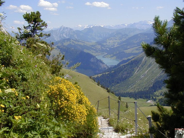 15 Août 2001 - Les Rochers de Nays - Vaud - Suisse 0028