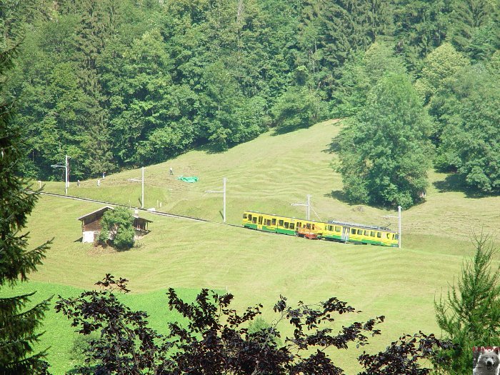 Le Schilthorn ou "Piz Gloria" - BE - 0004