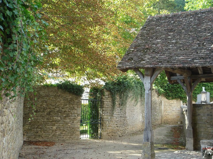 Santenay (21) St Jean de Narosse 0004