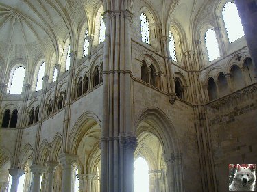 Ste Marie Madeleine - Vézelay (89) - 12 février 2000 0015