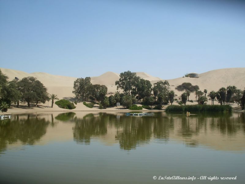 Géographie et valeurs du Désert. L_oasis_de_Huacachina_Ica_SDC12046