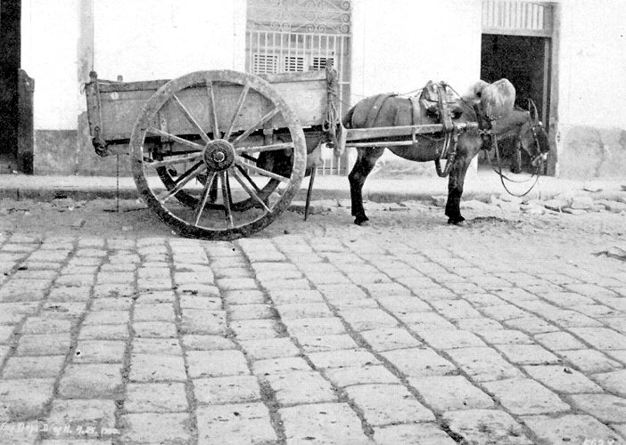 1958 - FOTOS DE CUBA ! SOLAMENTES DE ANTES DEL 1958 !!!! - Página 14 Ox-cart