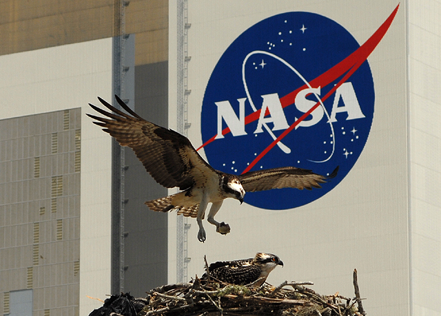 [Vote] Photo du mois d'août 2010   KSC_Osprey_STS-117_f