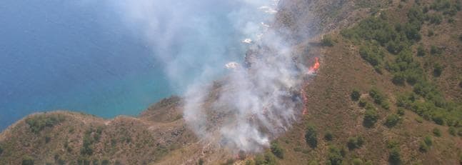 Incendios Forestales Altamarina--647x231