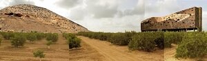 Arqueología prehistórica 3918749