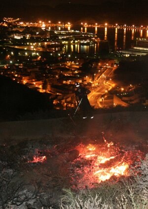 Incendios Forestales - Página 6 8519738