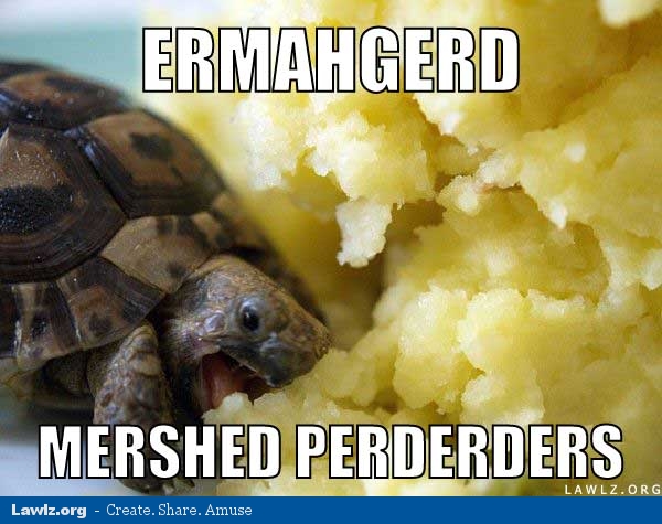 Funny Pages. - Page 17 Turtle-meme-ermahgerd-mershed-perderders-eating-mashed-potatoes