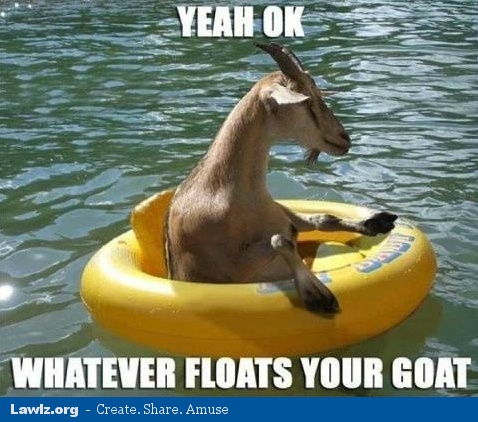 MC's Memo Yeah-ok-whatever-floats-your-goat-meme