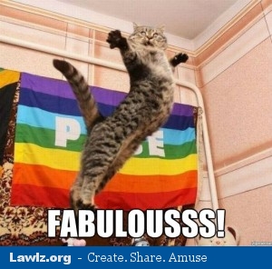 S4 ? - Page 4 Fabulous-cat-meme-300x296