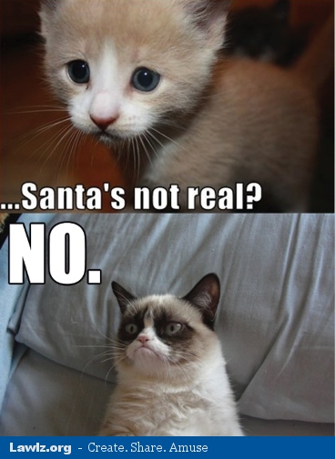 Youtube/funny vids/funny pics page - Page 28 Grumpy-cat-meme-santas-not-real