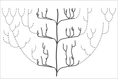 Evolución - Página 3 Or3