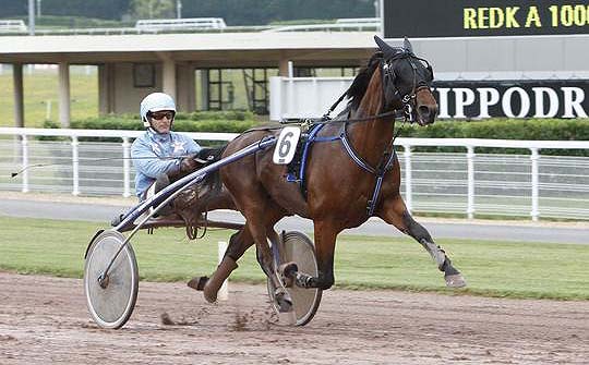 Trote: Los participantes del Grand Prix d'Amérique (Gr.I) Thebestmadrik-berlin