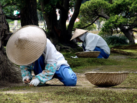 le japon Japon22