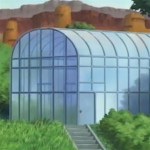 Medicinal Greenhouses