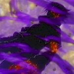 Fûinjutsu, l'art du scellement Seal-sasuke2