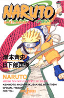 Naruto Books Guide Wavenovel