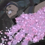 Technique de genjutsu. FlowerPetalB