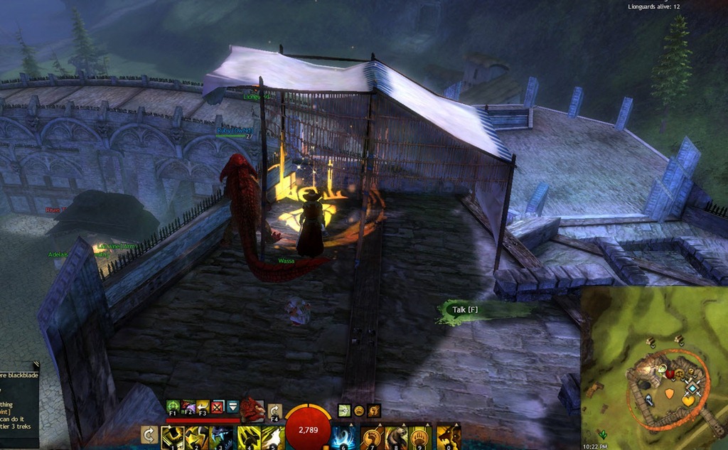  Terrasse de Wassa Gw2-wassas-terrace-guild-trek-2