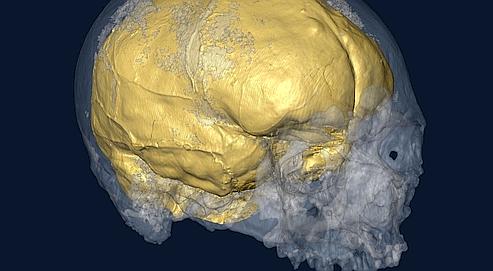 Le cerveau de Cro-Magnon reconstitué 4262f514-2b4f-11df-8928-97cf89d87a97