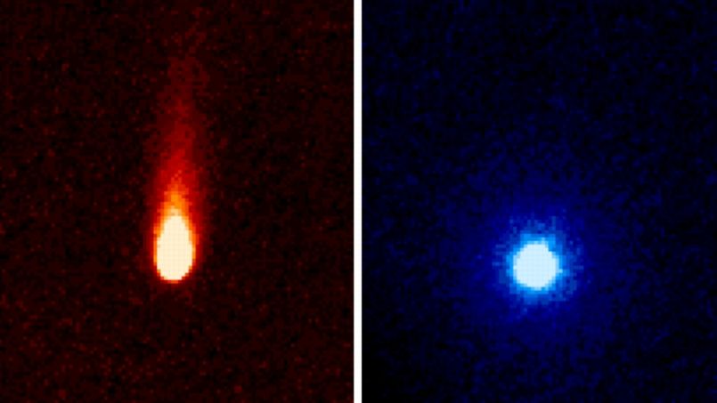 La comète ISON sème du dioxyde de carbone sur son passage PHO92f3aa78-f473-11e2-8583-97f10ddf409f-805x453