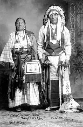 Indijanci - starosedeoci americkog kontinenta - Page 2 RomanNose