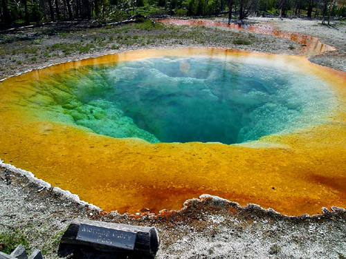 أغرب منظر طبيعي في العالم YellowstoneMorningGlory