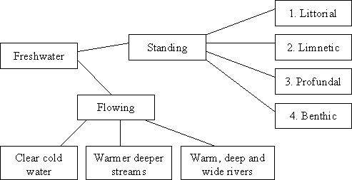 Water ecology Freshwaterschema