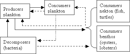 Water ecology Organismsschema