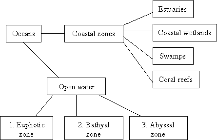 Water ecology Saltwaterschema